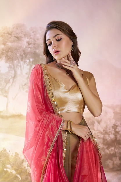 Rust Pink Designer Saree